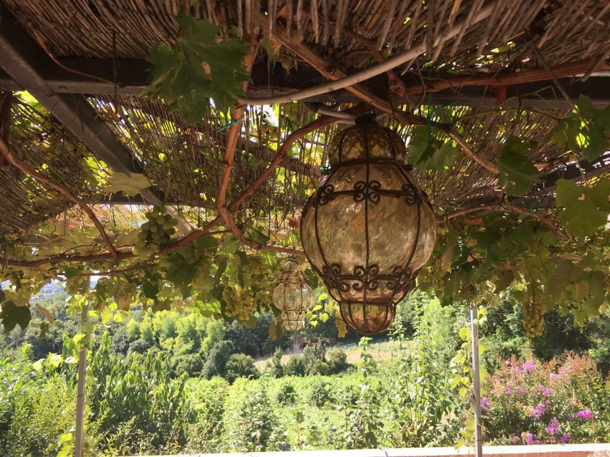 Podere Di Costabella Conegliano Extérieur photo
