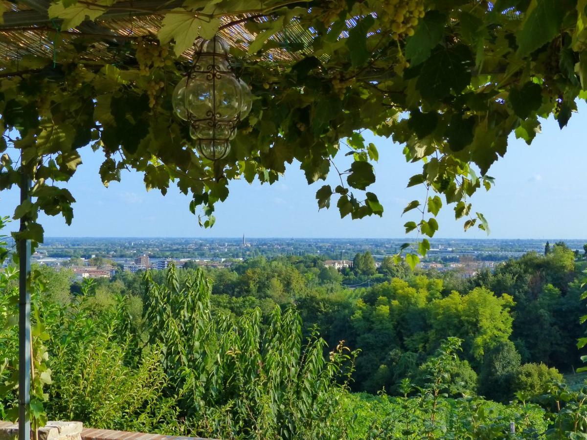 Podere Di Costabella Conegliano Extérieur photo