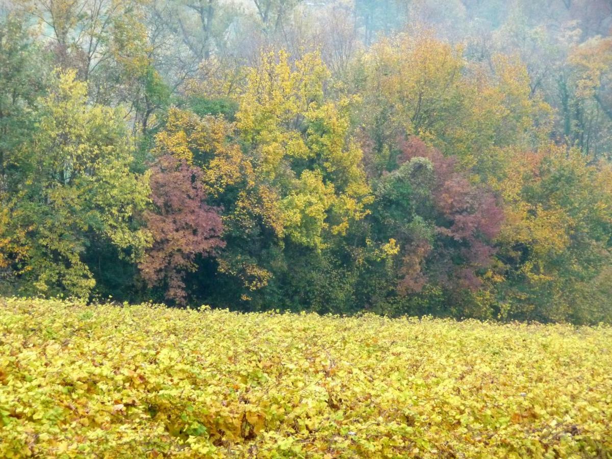 Podere Di Costabella Conegliano Extérieur photo